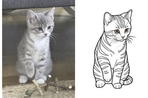 Plotter-Software-Kurs: Online-Plotterkurs für Fortgeschrittene Katzen Foto plottbar machen - Kreativ-Ohrt