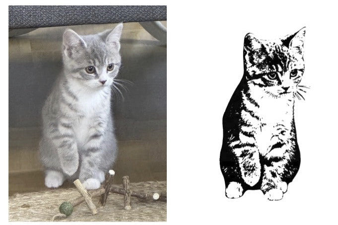 Plotter-Software-Kurs: Online-Plotterkurs für Fortgeschrittene Katzen Foto plottbar machen - Kreativ-Ohrt