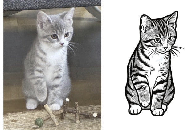 Plotter-Software-Kurs: Online-Plotterkurs für Fortgeschrittene Katzen Foto plottbar machen - Kreativ-Ohrt