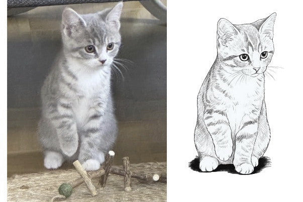 Plotter-Software-Kurs: Online-Plotterkurs für Fortgeschrittene Katzen Foto plottbar machen - Kreativ-Ohrt