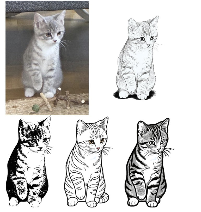 Plotter-Software-Kurs: Online-Plotterkurs für Fortgeschrittene Katzen Foto plottbar machen - Kreativ-Ohrt